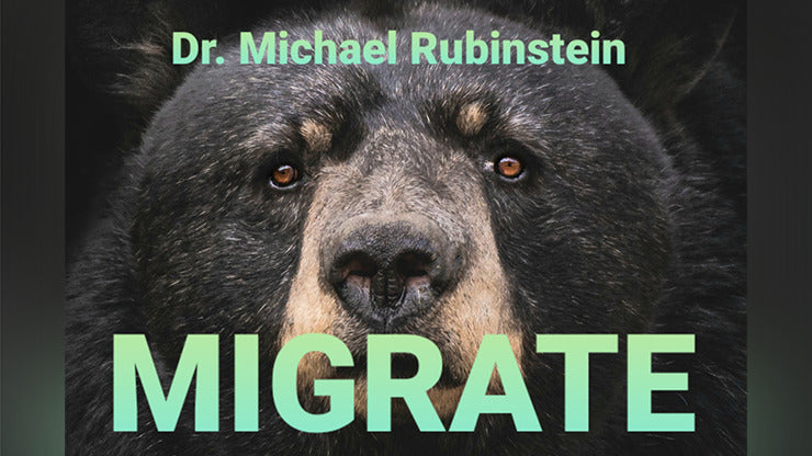 MIGRATE POKER CHIP by Dr. Michael Rubinstein