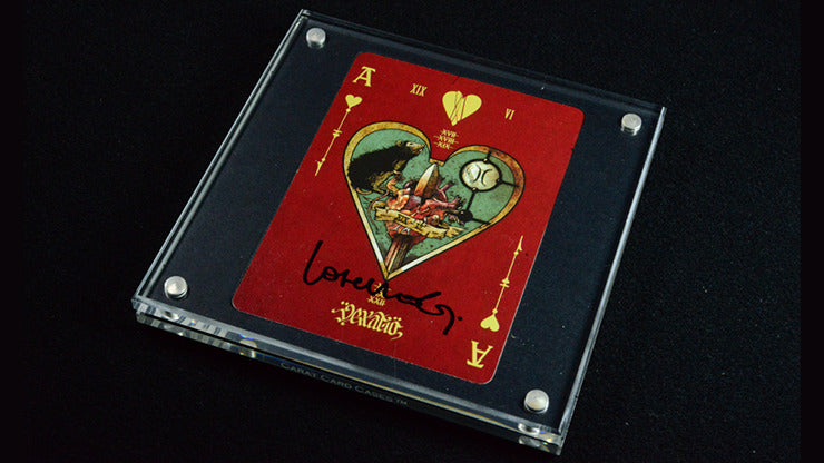 Carat XSC Single Deck Display