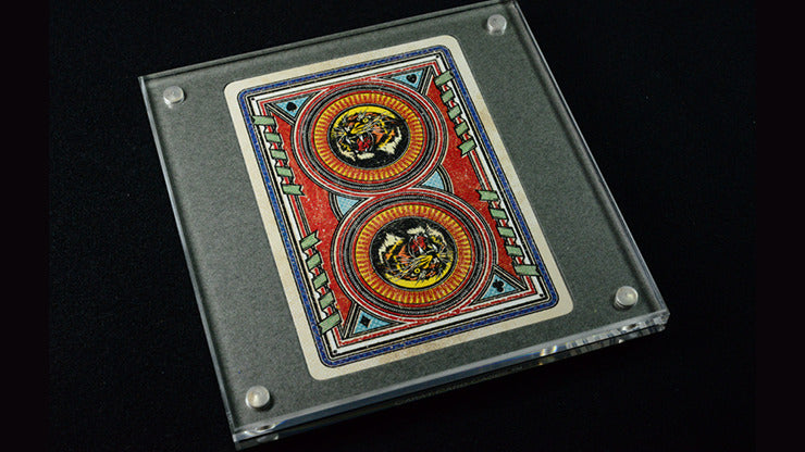Carat XSC Single Deck Display