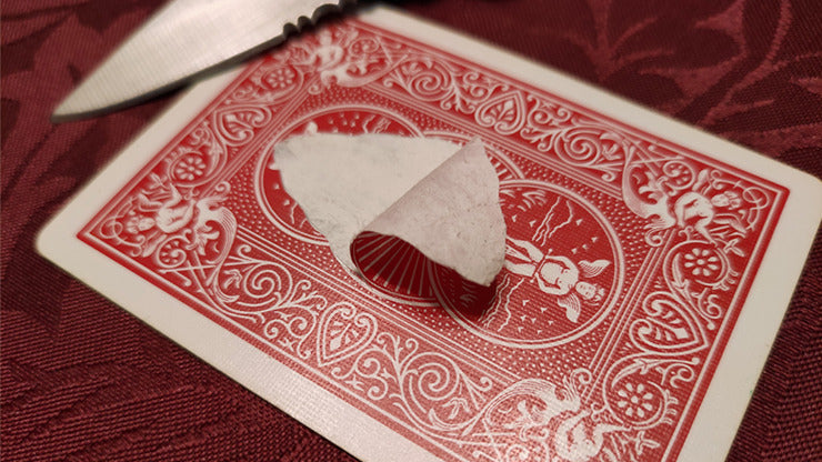 Cannibal King by Alan Rorrison