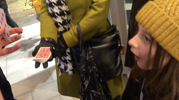 SHOWCASE, Universal by Thomas Sealey