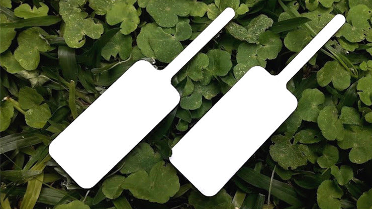 MAGIC BOARD PADDLE by Dar Magia