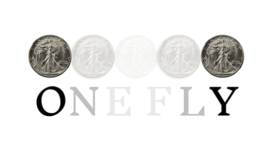 OneFly by Pieter Hofstra - Video Download